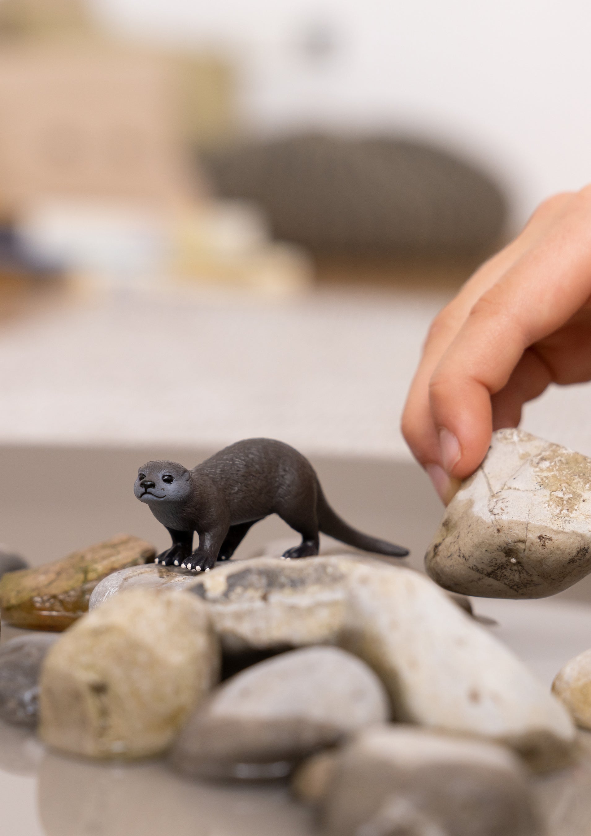 シュライヒ『カワウソ』