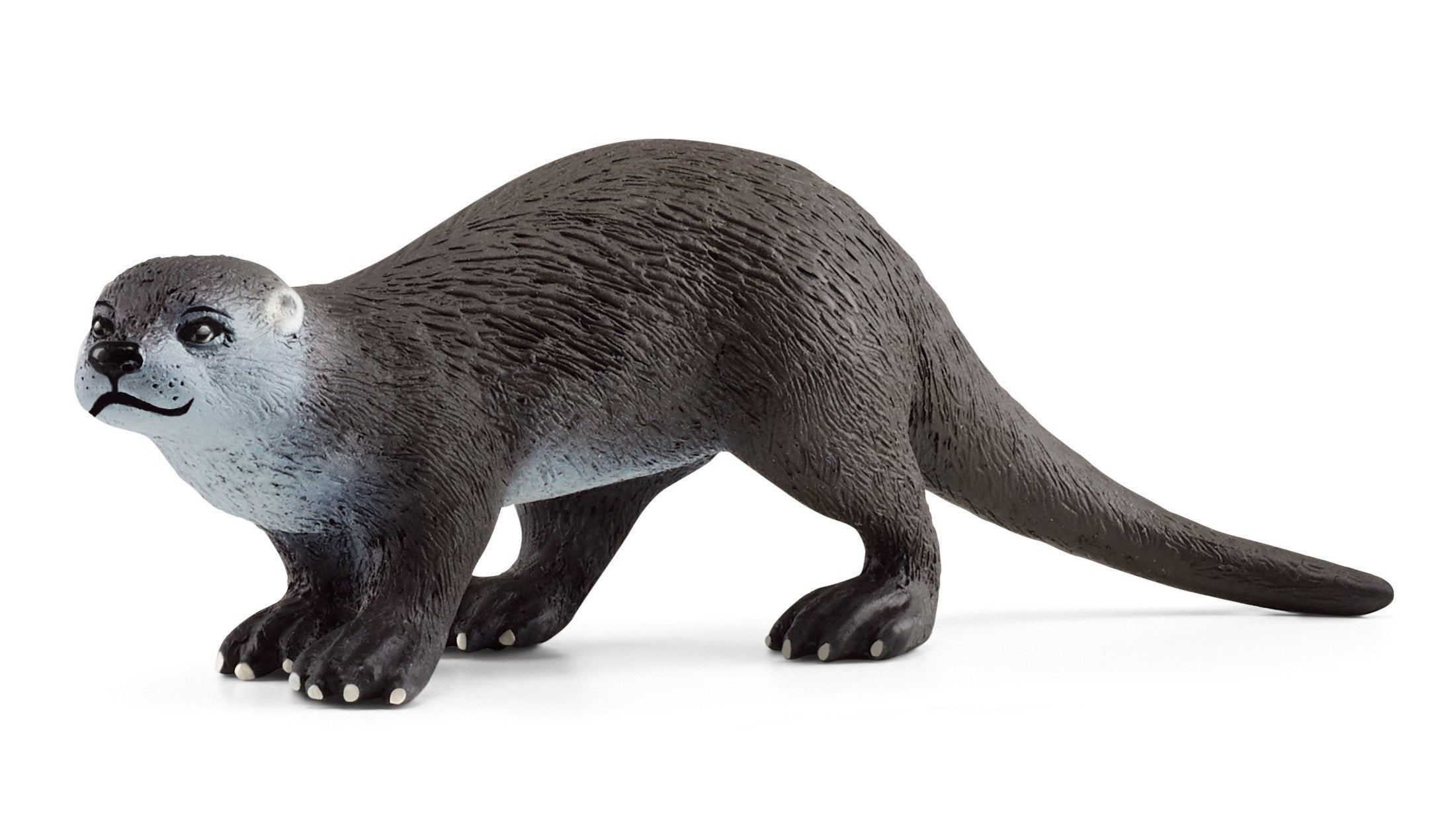 シュライヒ『カワウソ』