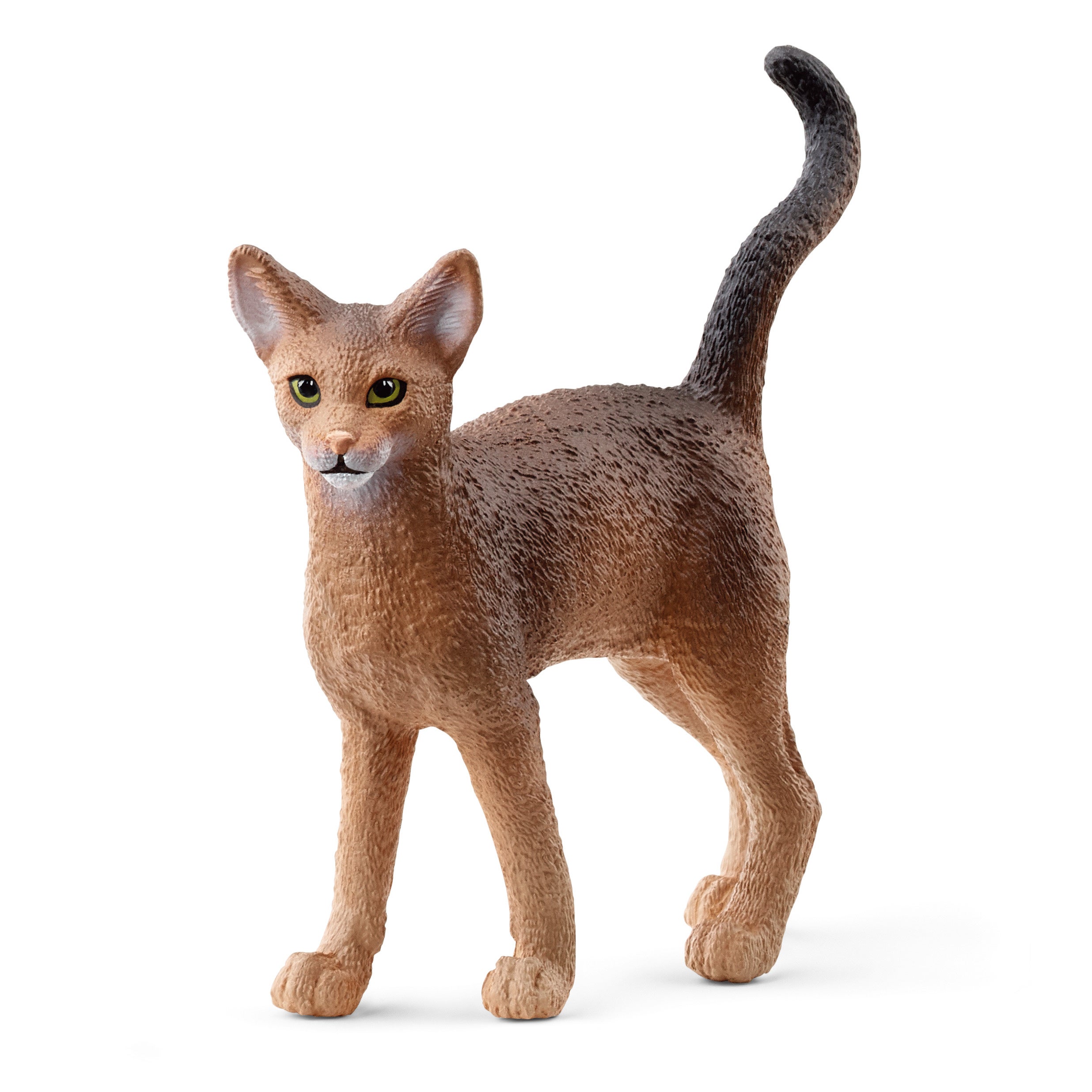 シュライヒ バヤラ ファラロイ (立) フィギュア 70439 Amazon.co.jp: シュライヒ(Schleich) バヤラ レインボー
