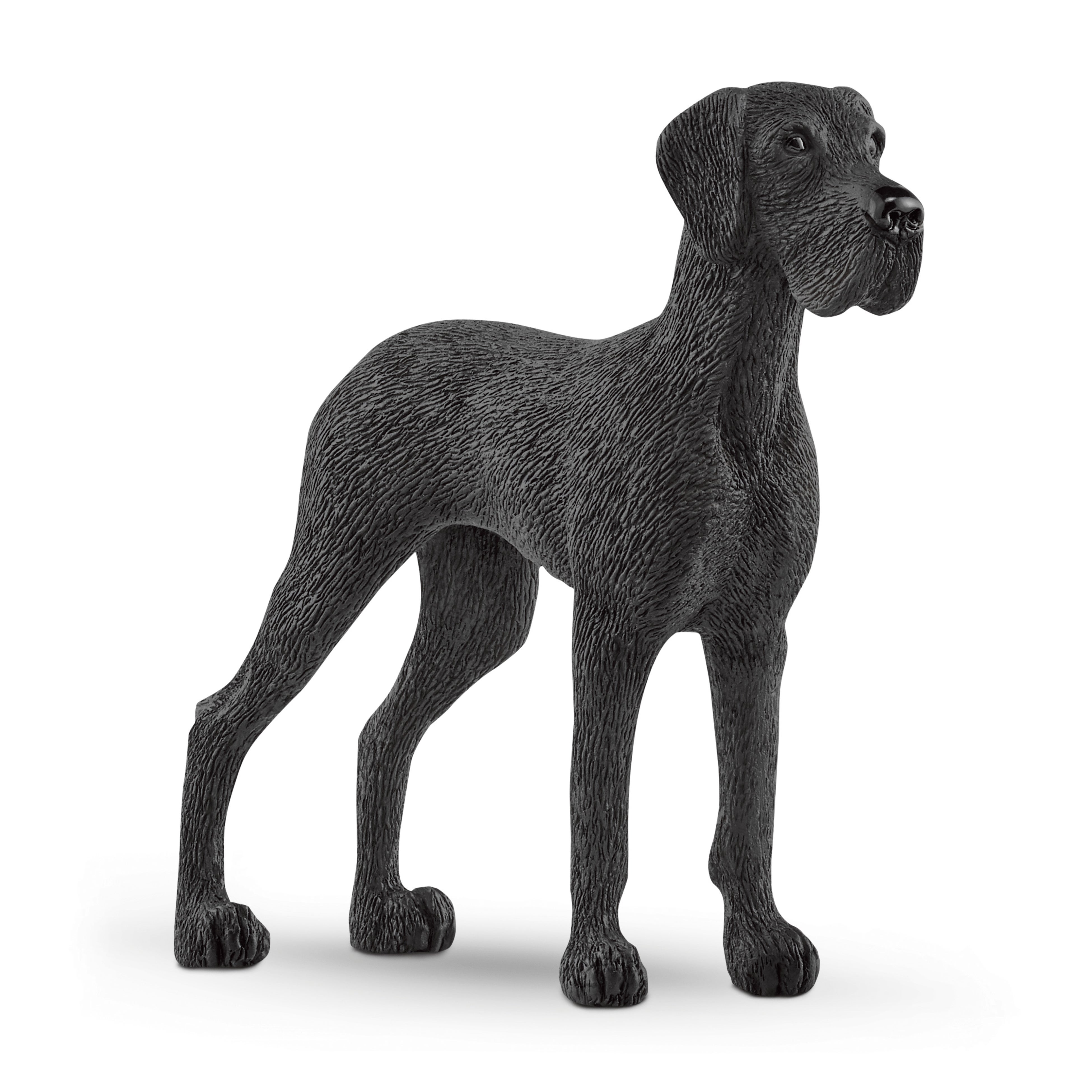 シュライヒ バヤラ ファラロイ (立) フィギュア 70439 Amazon.co.jp: シュライヒ(Schleich) バヤラ レインボー
