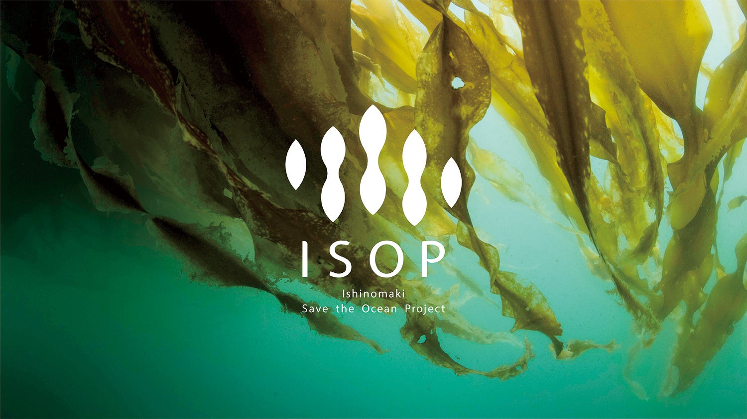 フィッシャーマン・ジャパンの磯焼け対策事業「ISOP」