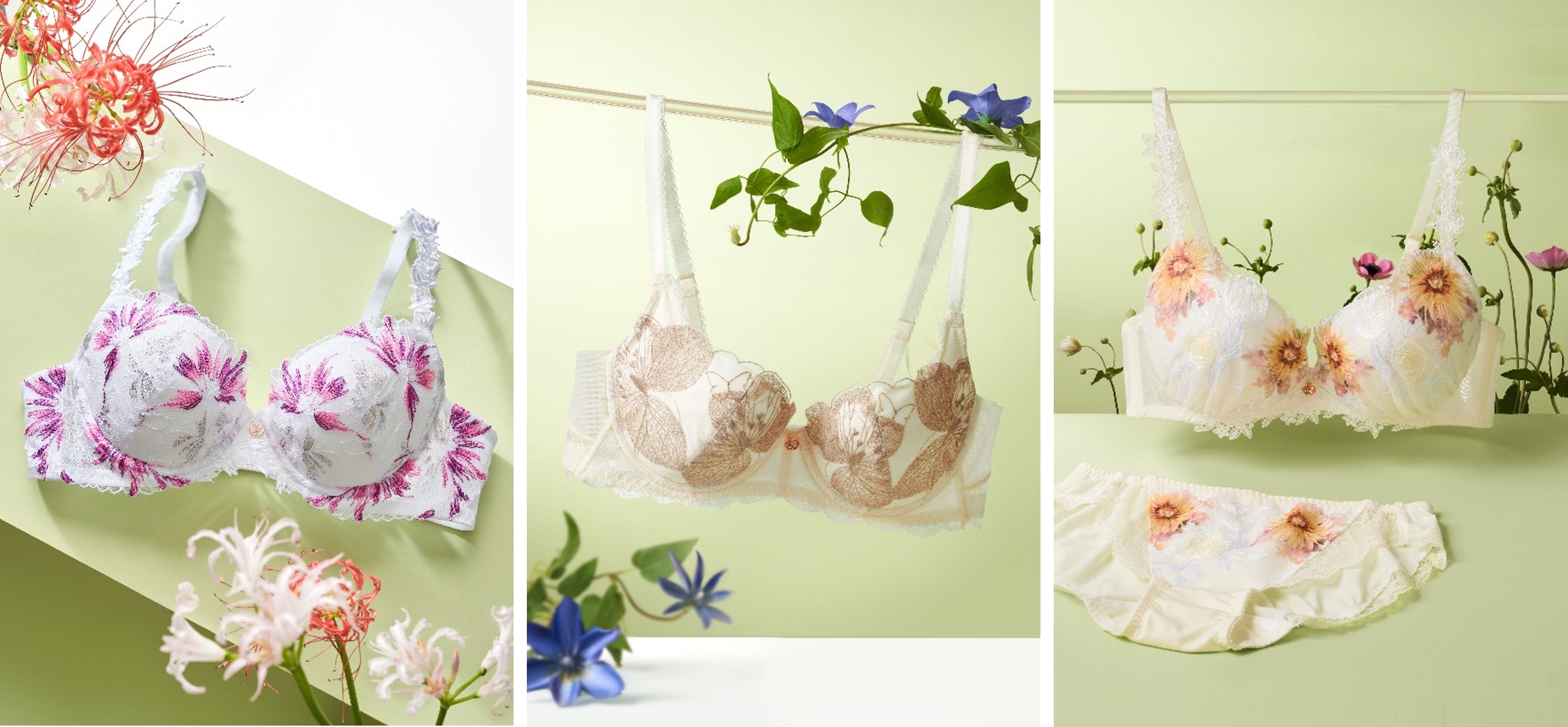 繊細な花びら重なりや ドラマティックな季節の光 美しい色彩のレイヤー 繊細な花びら重なりや ドラマティックな季節の光 美しい色彩のレイヤー