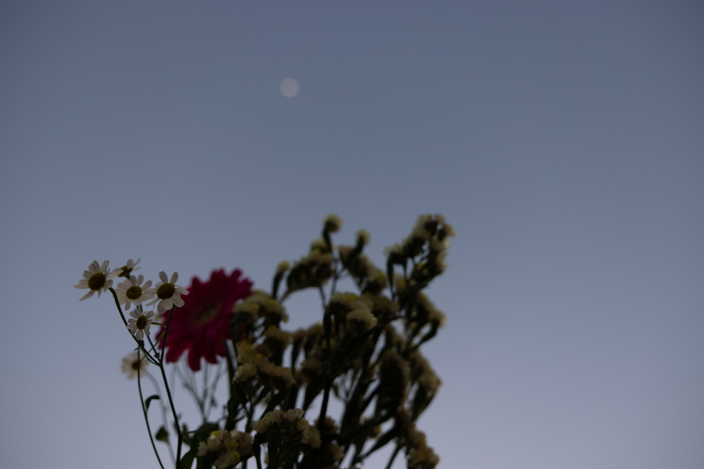 When people take flowers,