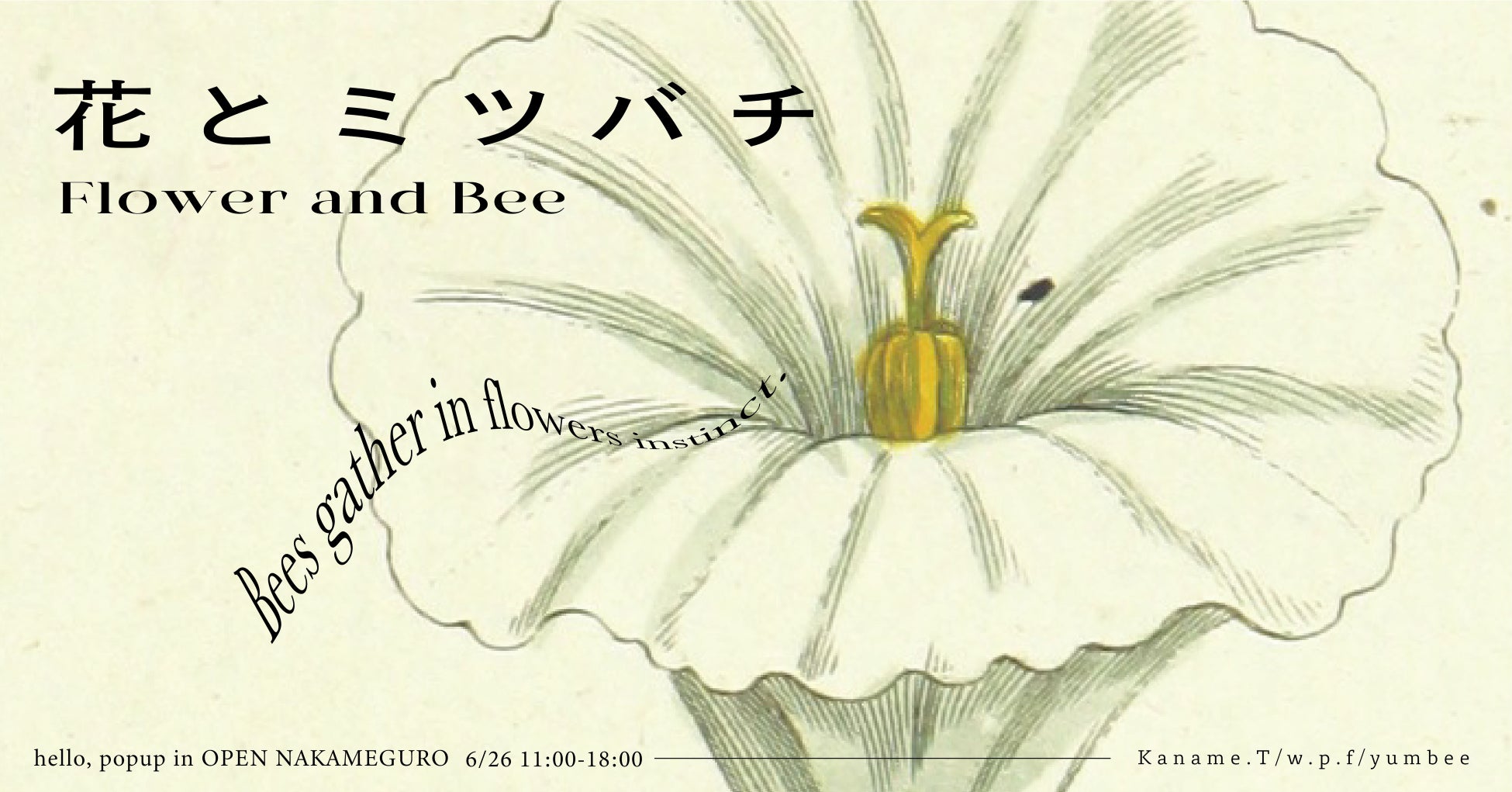 花に誘われるミツバチのように カフェ アート 花 五感をくすぐるポップアップイベント 花 とミツバチ 22年6月26日東京中目黒で開催 株式会社qutoriのプレスリリース 花に誘われるミツバチのように カフェ アート 花 五感をくすぐるポップアップイベント 花 とミツバチ 22年6月26日東京中目黒で開催 株式会社qutoriのプレスリリース