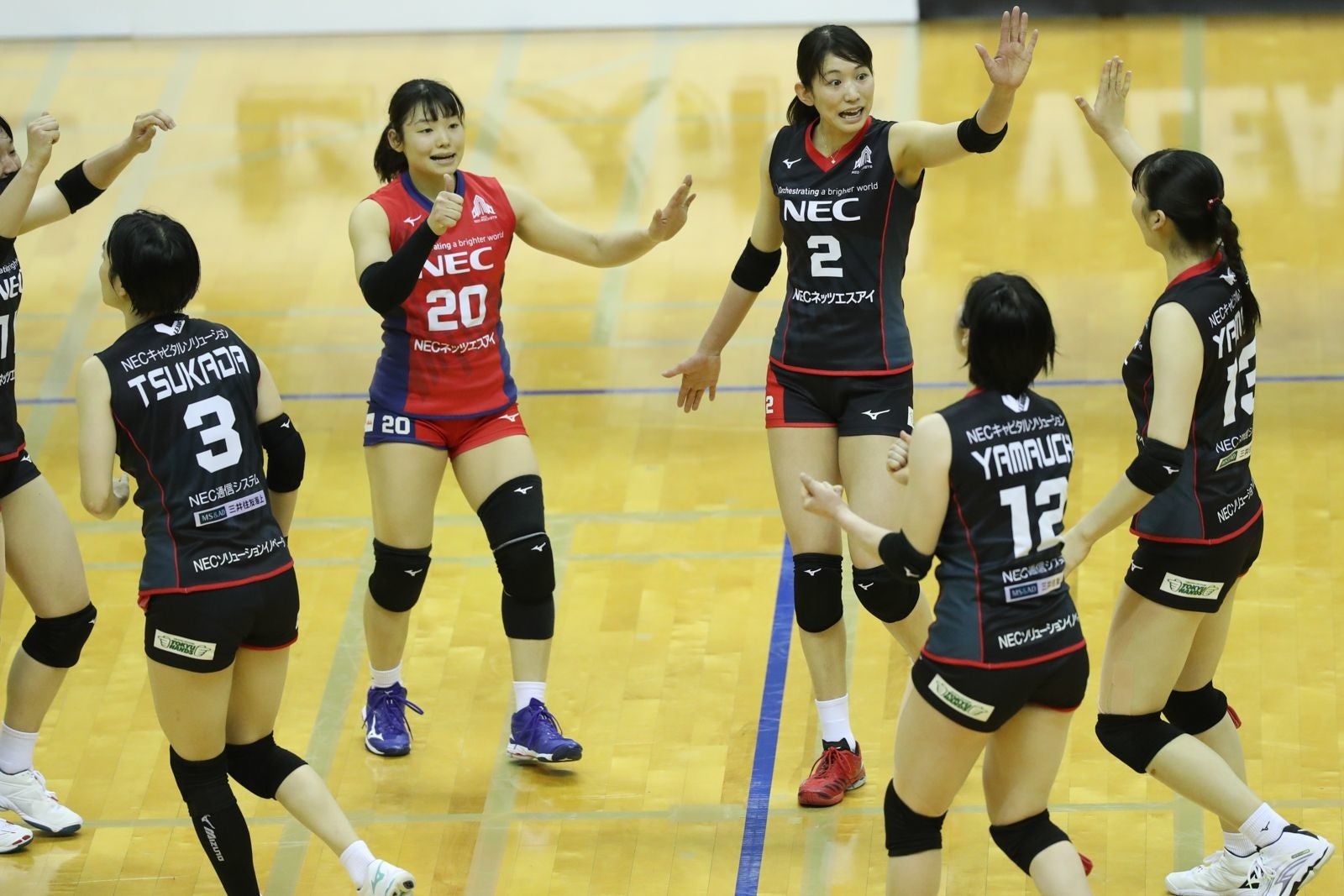 今週23(水)に続きストレート勝ちで調子を取り戻したNEC 2月26日 対KUROBE 第1セット