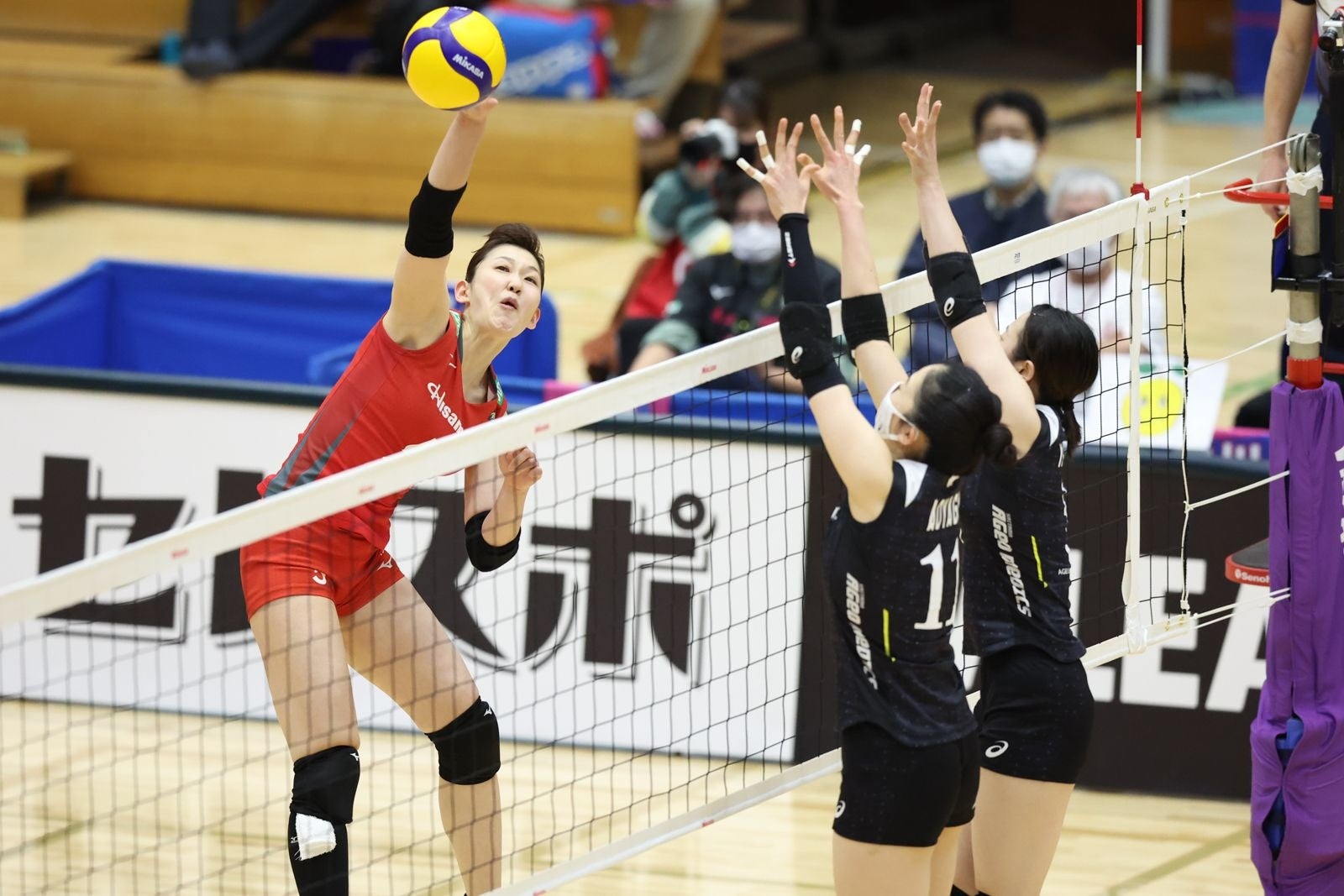 バレー Vリーグ V1女子 東レがjtから昨季ファイナルで敗れて以来悲願の勝利 V1男子はパナソニックがサントリーに3連勝 Vリーグ機構のプレスリリース バレー Vリーグ V1女子 東レがjtから昨季ファイナルで敗れて以来悲願の勝利 V1男子はパナソニックがサントリーに3連勝 Vリーグ機構のプレスリリース