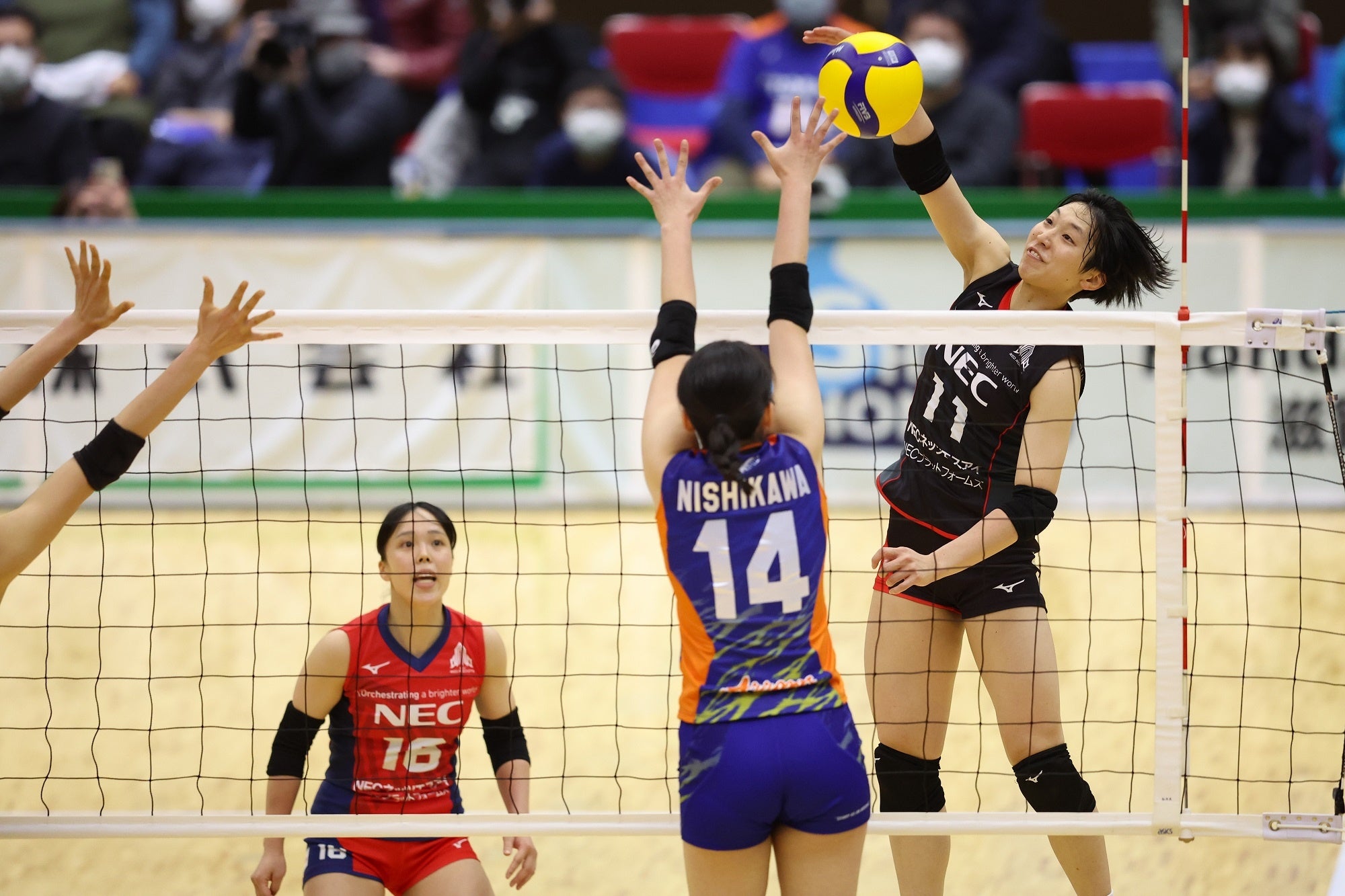 バレー/Vリーグ】V1男子・東京グレートベアーズが有明コロシアム