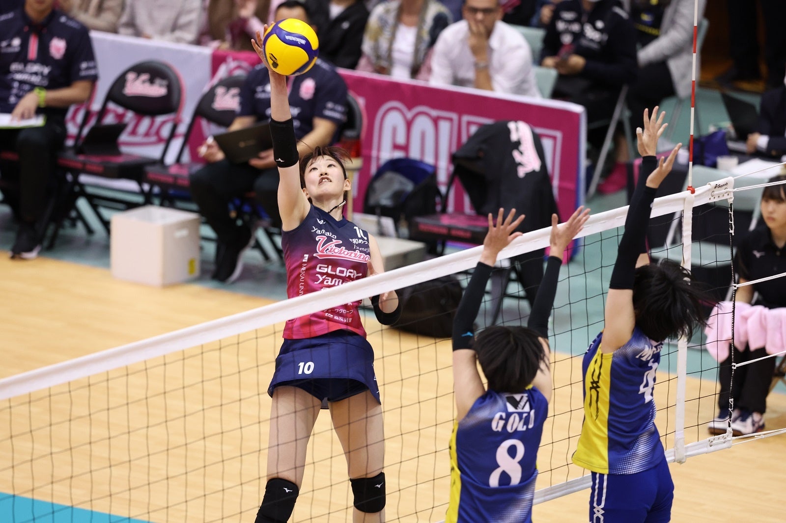 日本代表でも活躍し期待される井上愛里沙のヴィクトリーナ姫路での初戦 10月28日 対 大野石油戦 第1セット