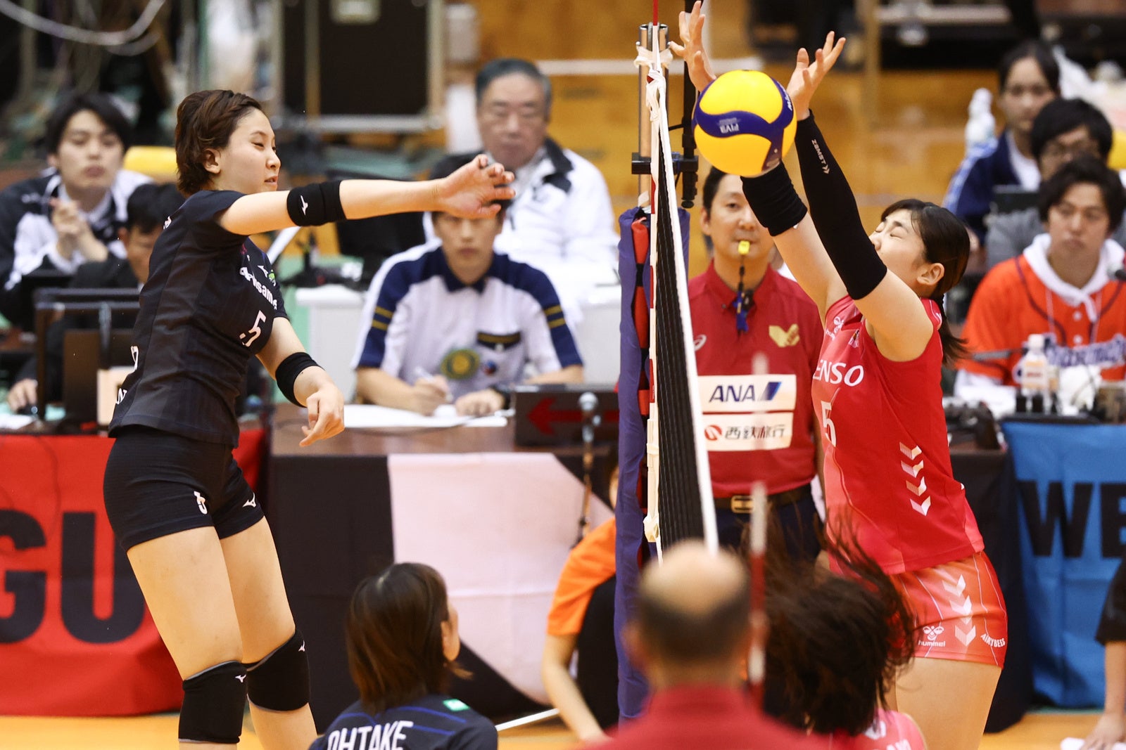バレー/Vリーグ】V1男子・WD名古屋、JT広島がストレート2連勝
