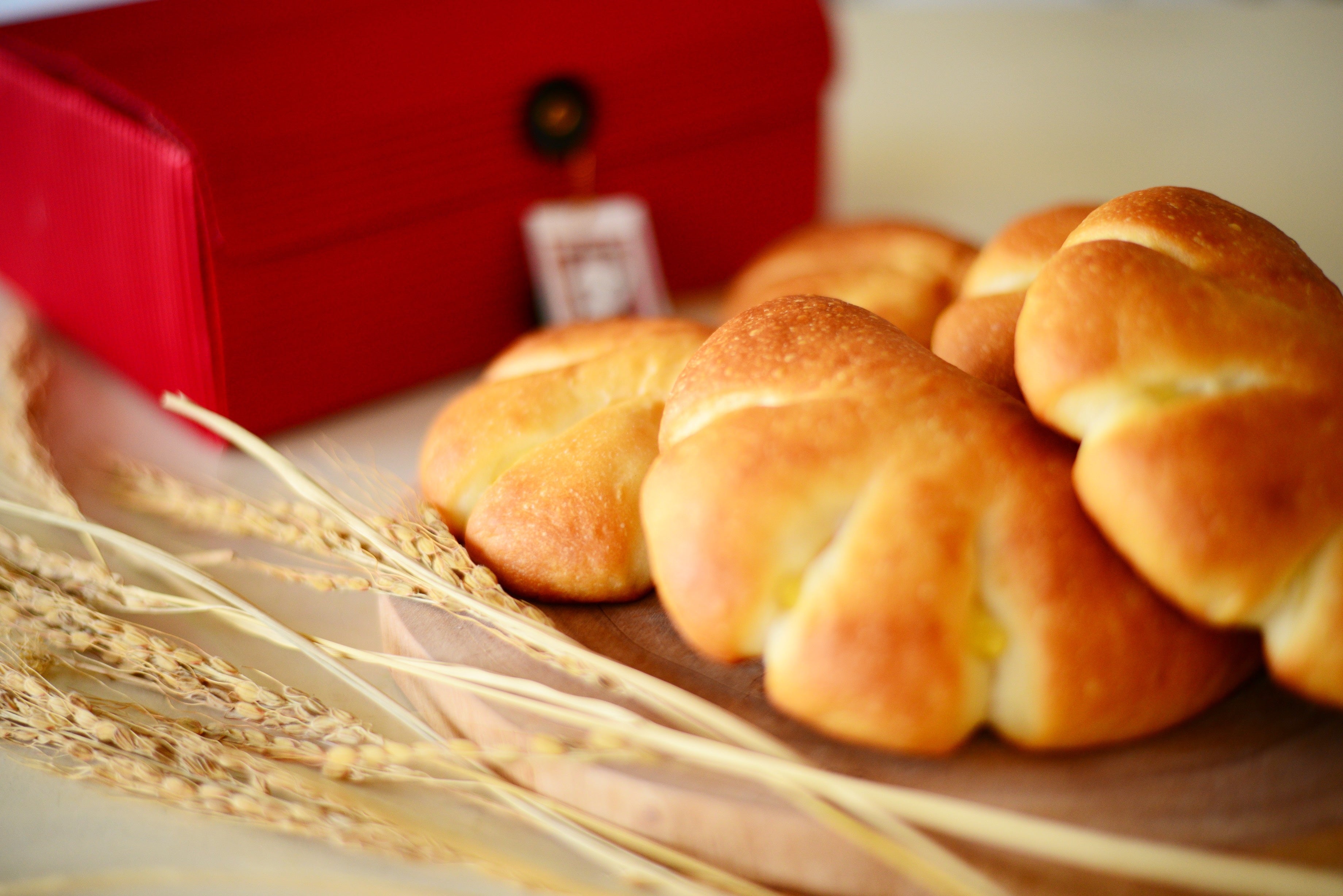 ヤギミルククリームパン