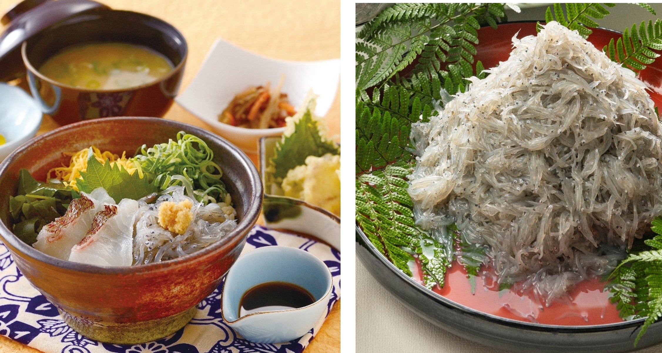 生しらすは淡路島岩屋港で水揚げされたもののみ使用。