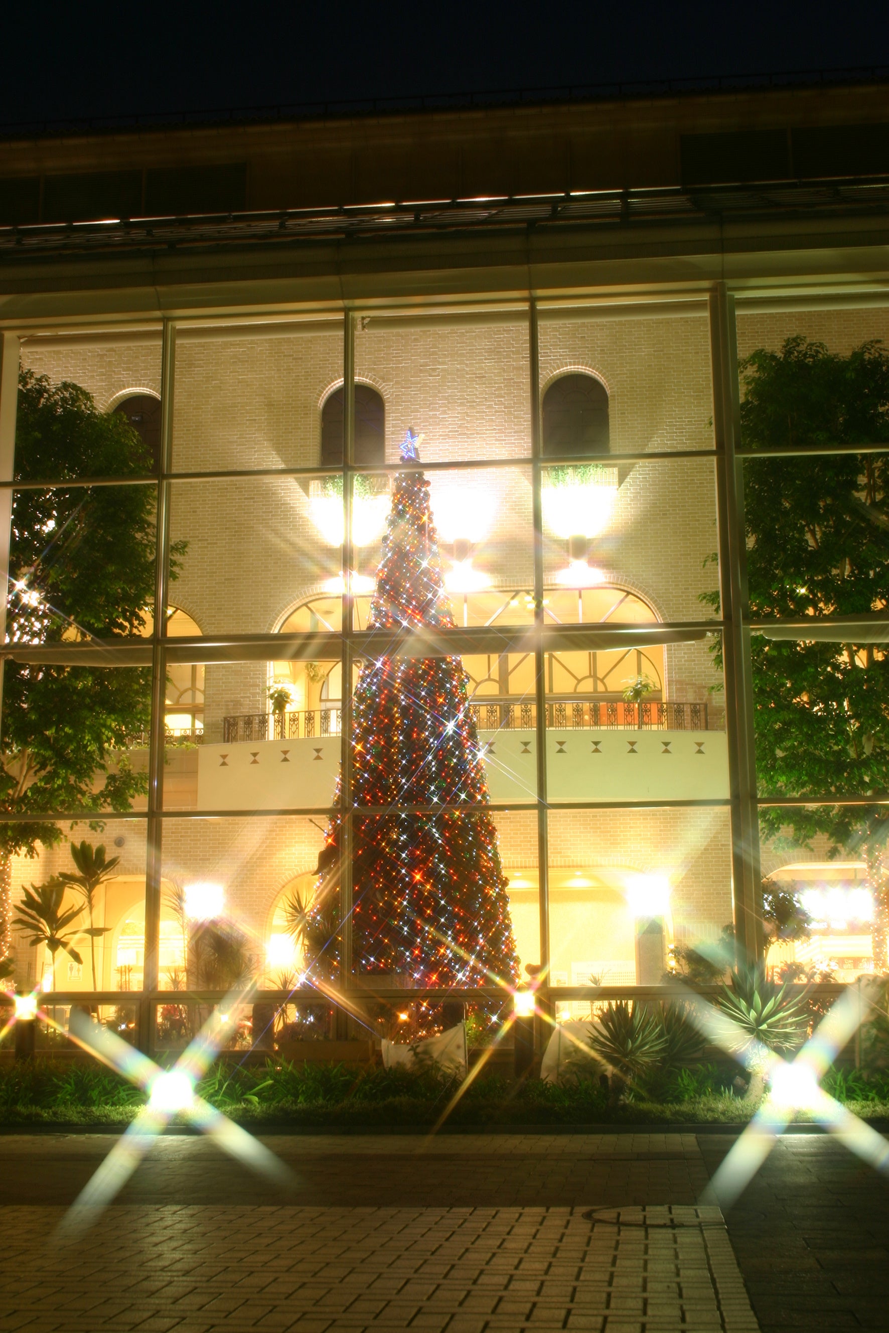 オアシス館の外からでもお楽しみいただけます