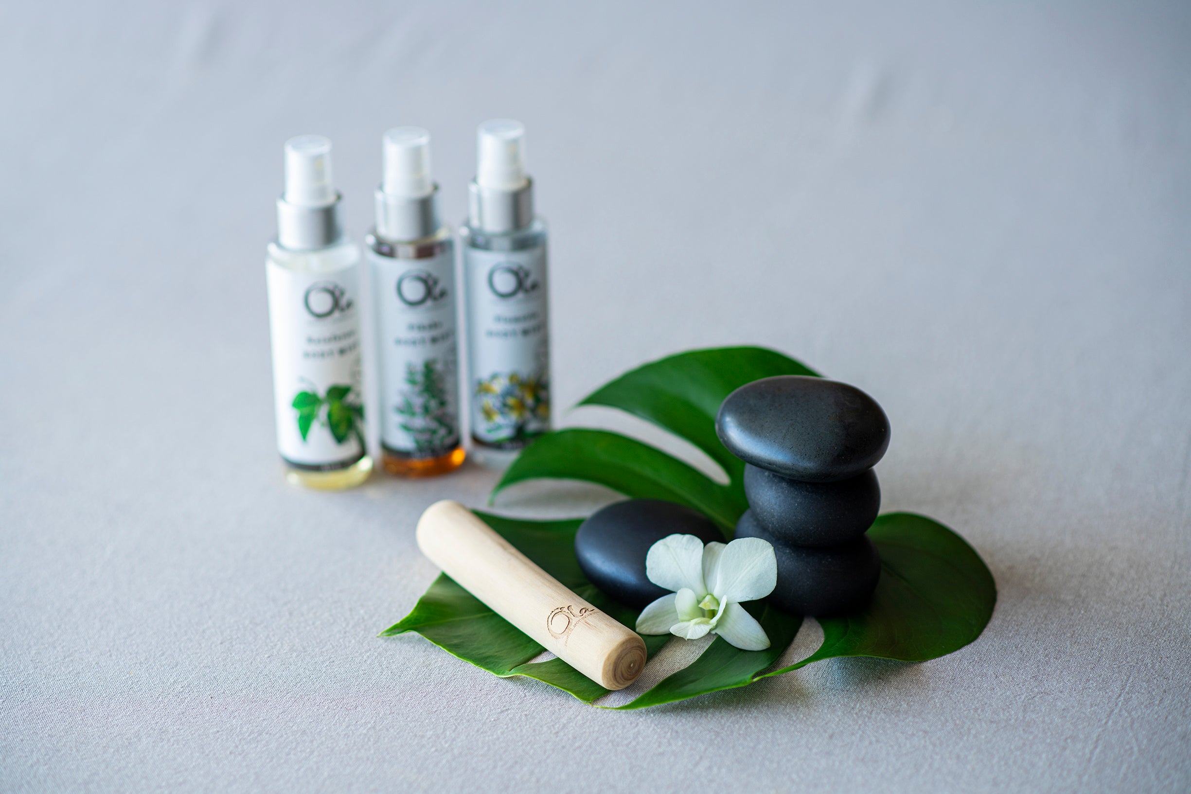 夜光貝アクセサリー イメージ