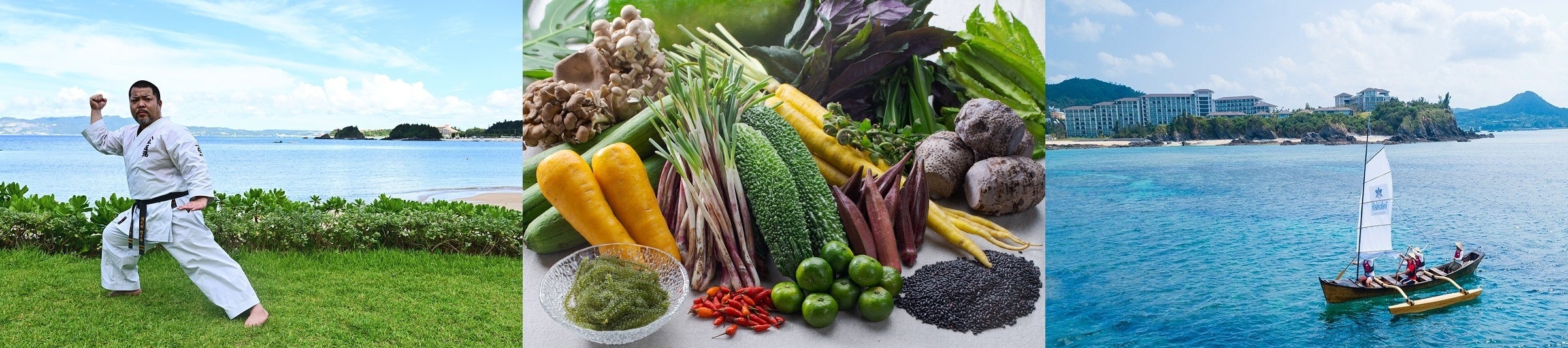 プログラムイメージ