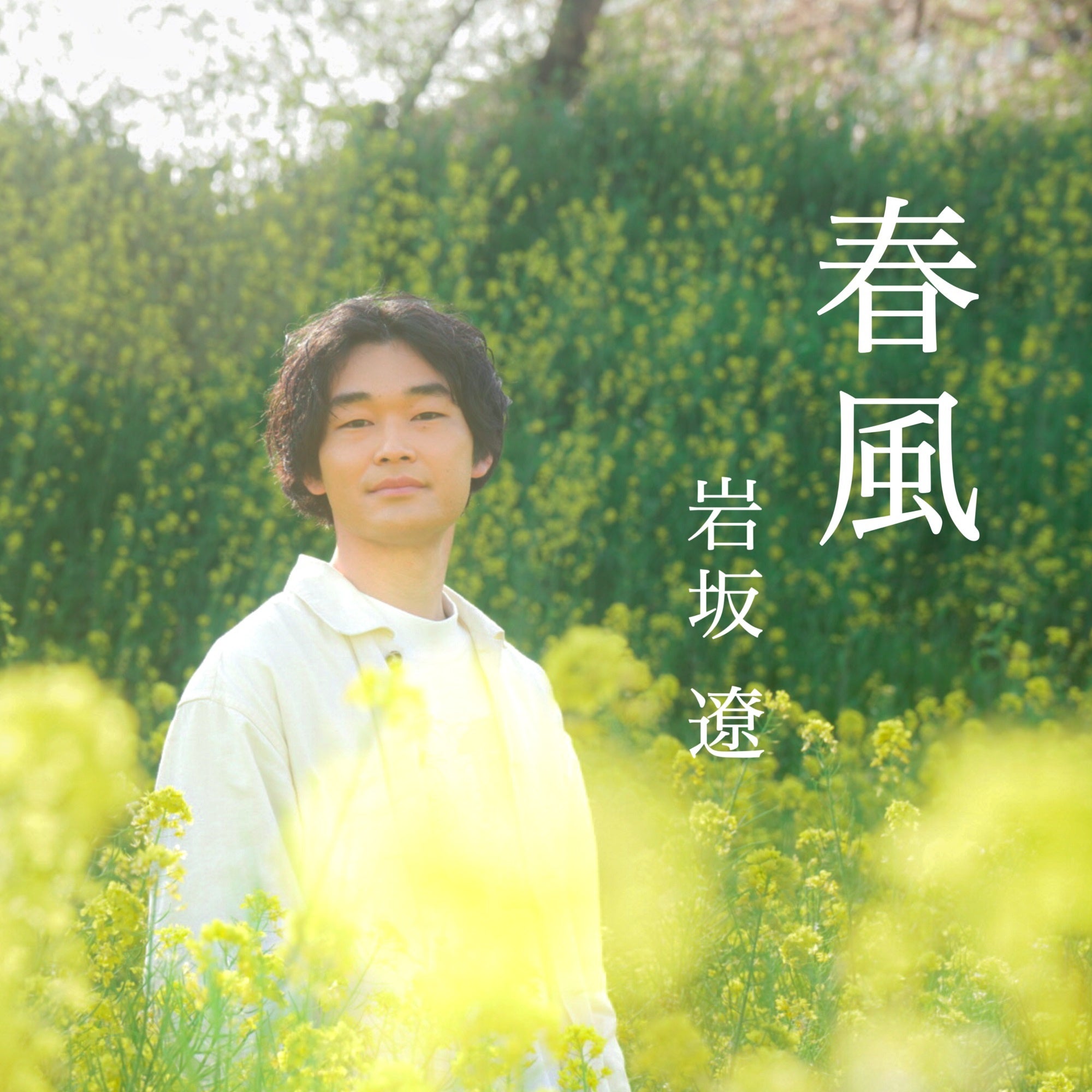 『春風』ジャケット写真