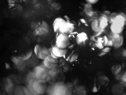 ヴィム・ヴェンダースの最新作映画「PERFECT DAYS」公開に合わせ、ドナータ・ヴェンダースの映像作品展を開催 ヴィム・ヴェンダースの最新作映画「PERFECT DAYS」公開に合わせ、ドナータ・ヴェンダースの映像作品展を開催