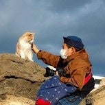 アドビ 2月22日の 猫の日 に猫好きに向けた 猫グラフィー フォト ムービーコンテスト開催 アドビ株式会社のプレスリリース アドビ 2月22日の 猫の日 に猫好きに向けた 猫グラフィー フォト ムービーコンテスト開催 アドビ株式会社のプレスリリース