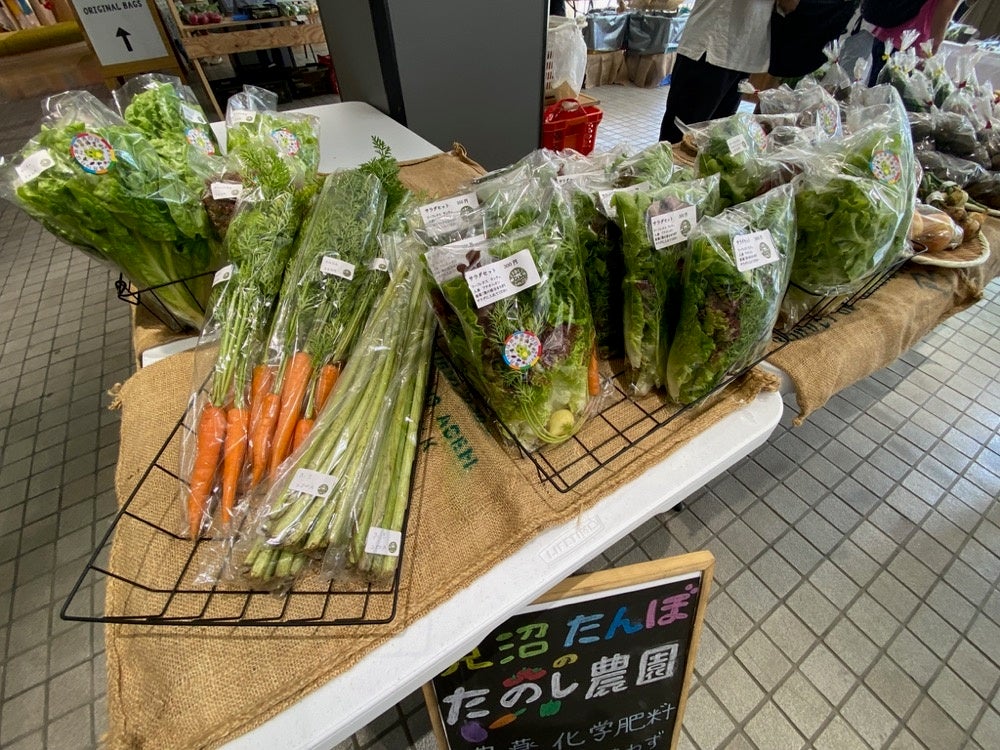 前回の販売