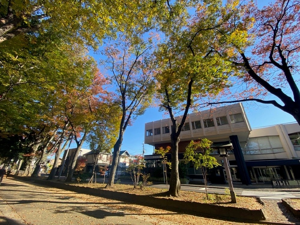 紅葉が美しい氷川参道とBibli
