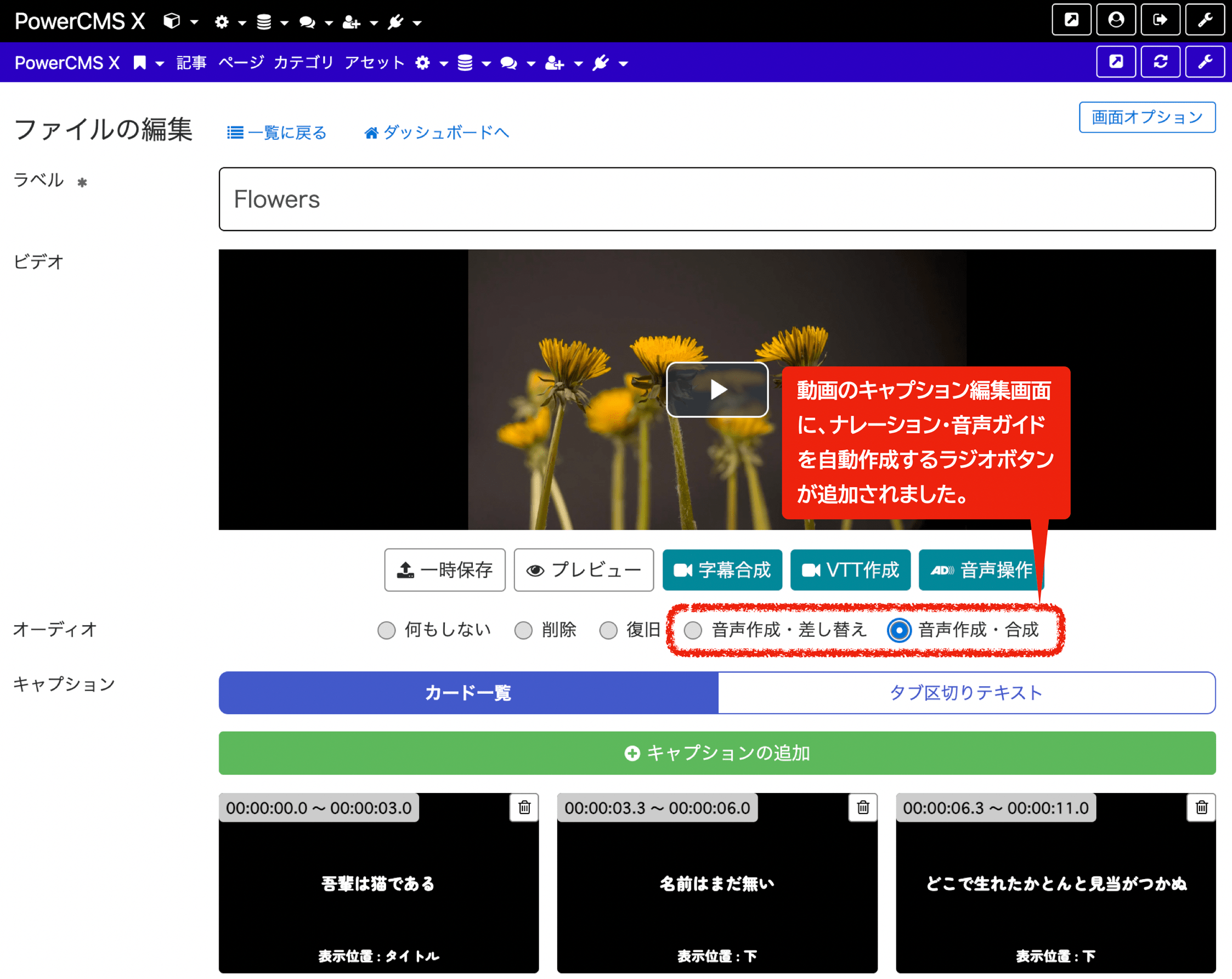 動画のキャプション編集画面に、ナレーション・音声解説を自動作成するラジオボタンが追加されました。
