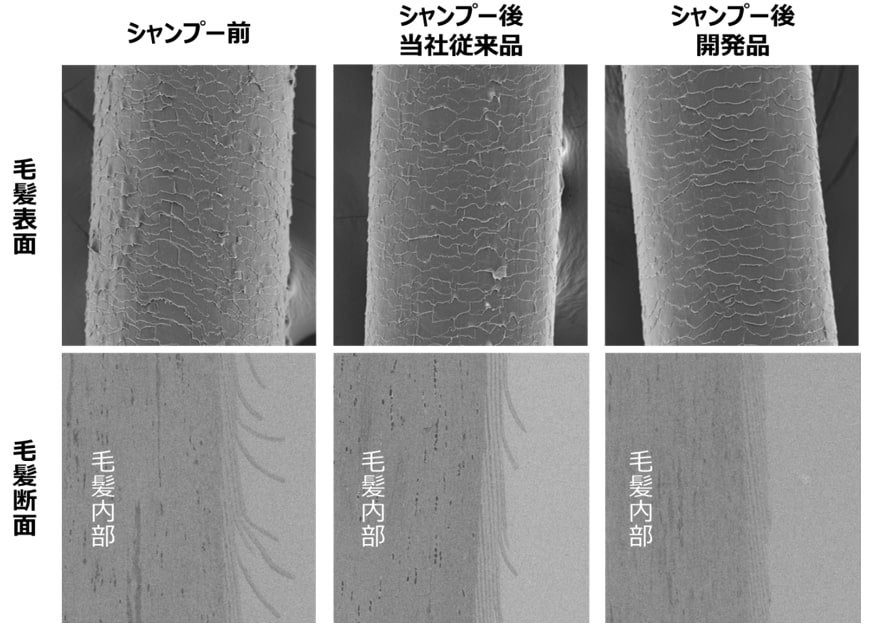 図 3　ダメージ毛髪に対するシャンプー使用前後の毛髪状態の比較