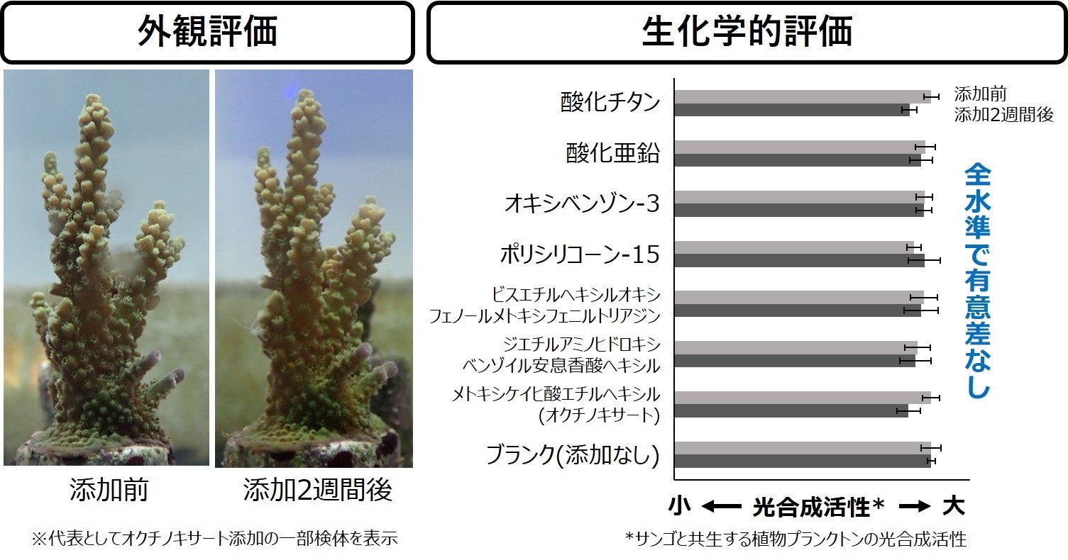 図2 紫外線防御剤7成分のサンゴへの影響評価