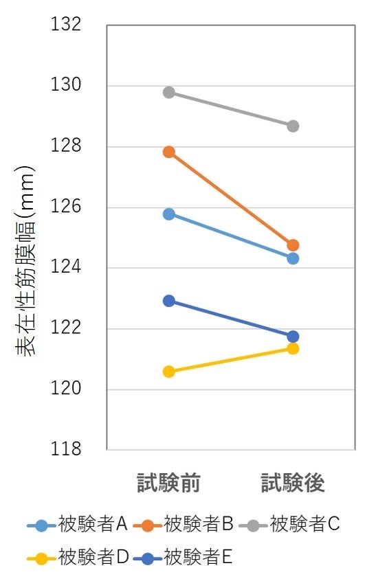 図２　表在性筋膜幅の変化