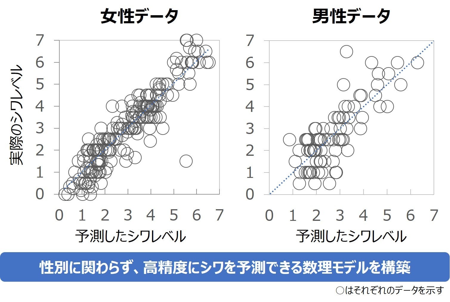 図1　男性データを踏まえたシワ予測の数理モデルの精度確認