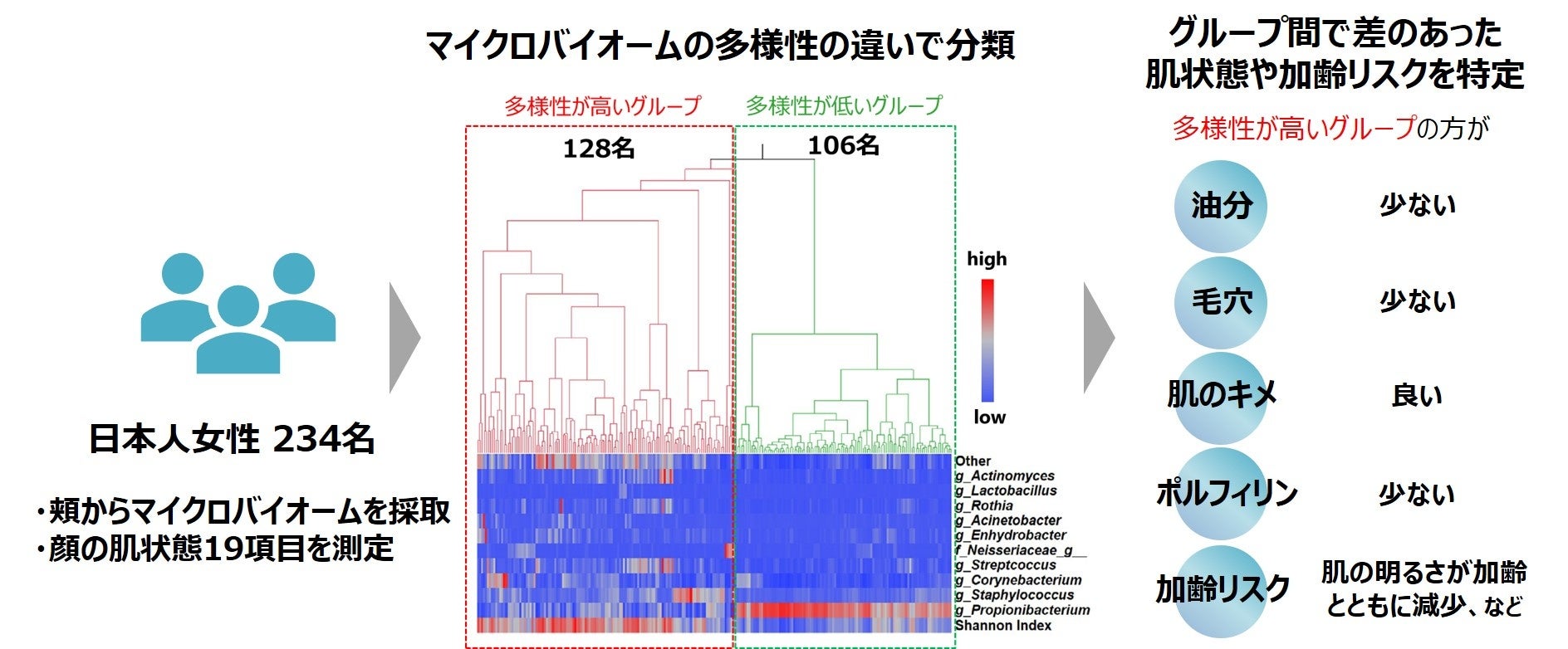 図1　皮膚マイクロバイオームと肌状態の関係性解析