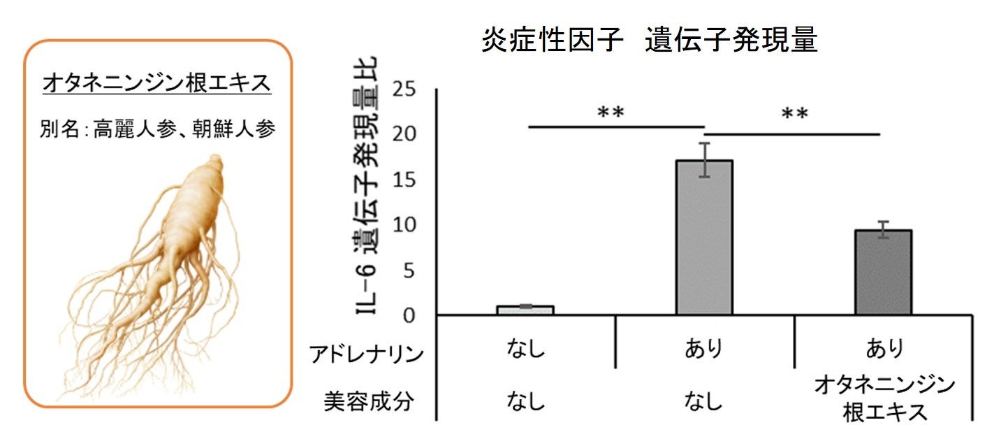 図5　オタネニンジン根エキスによる炎症抑制効果