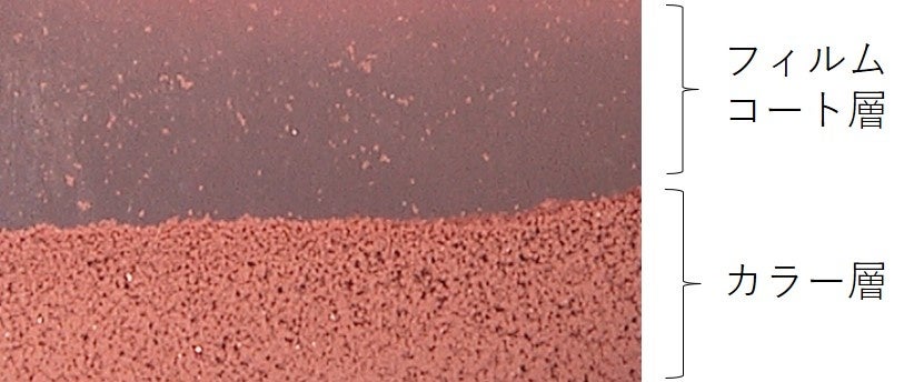 図3　分離した2層のマイクロスコープ画像