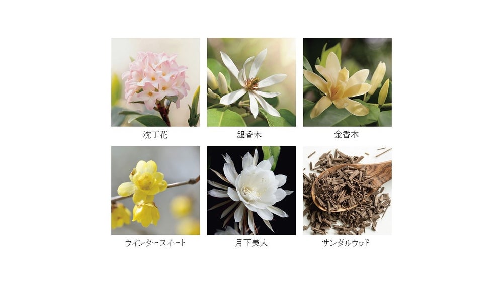 (画像はイメージ)
