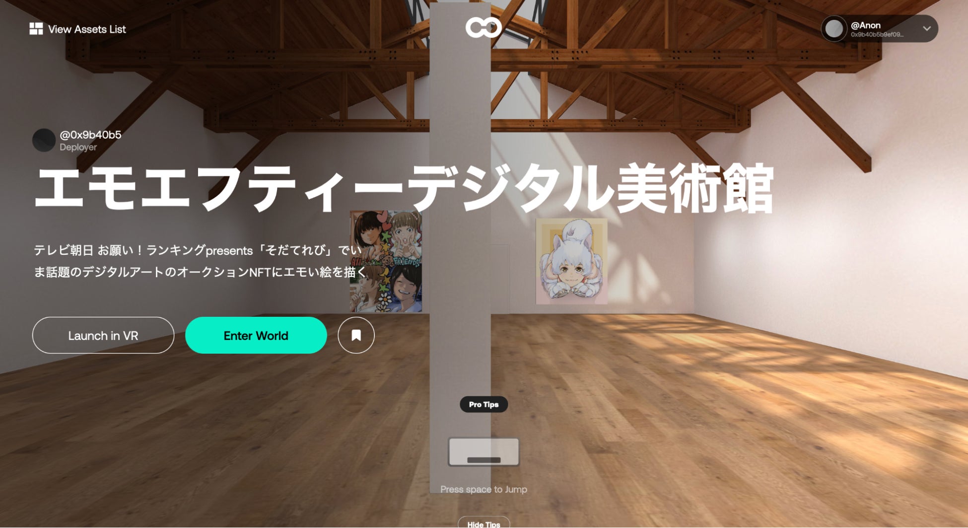 OnCyberにおける藤村 緋ニ先⽣のNFT展⽰会