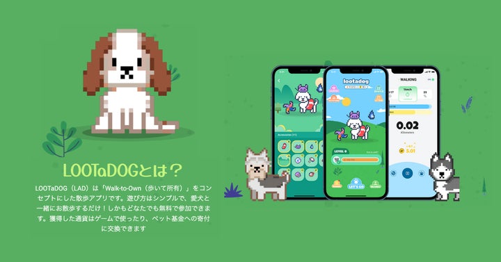 NFTわんこ育成アプリ「LOOTaDOG」とCryptoSpellsとのコラボカードNFT NFTわんこ育成アプリ「LOOTaDOG」とCryptoSpellsとのコラボカードNFT