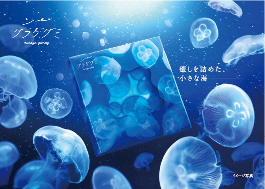 写真映え間違いなし!クラゲが海を漂っているような幻想的な世界観に 写真映え間違いなし!クラゲが海を漂っているような幻想的な世界観に