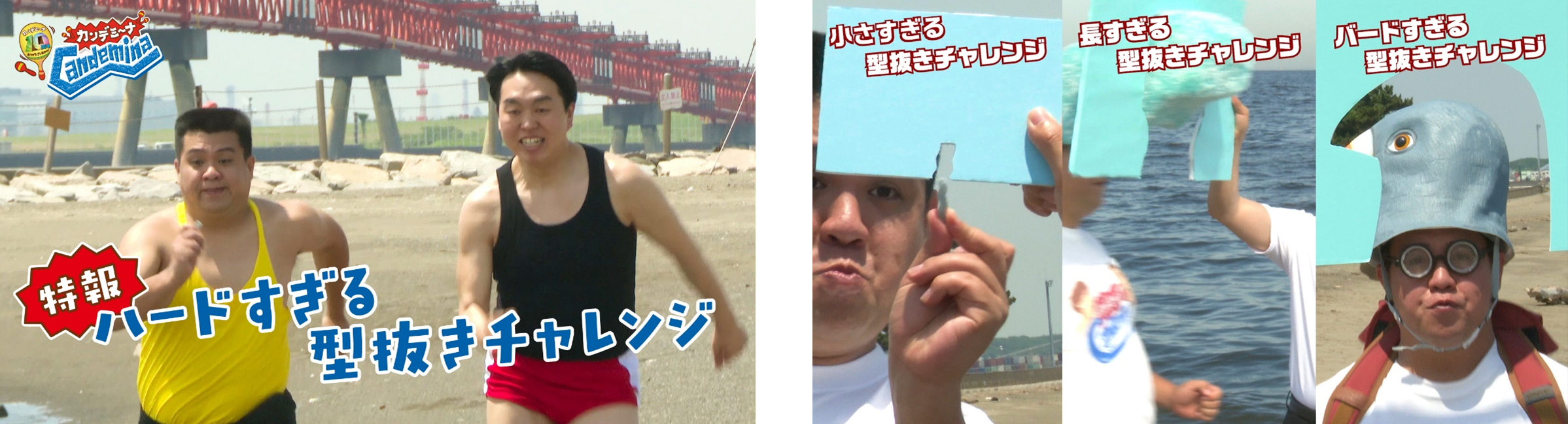 ジェラードン ステッカー カンデミーナ10周年 レア ジェラードン