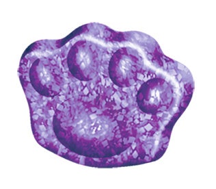 見つけたら ＼ラッキーなレア型入り／