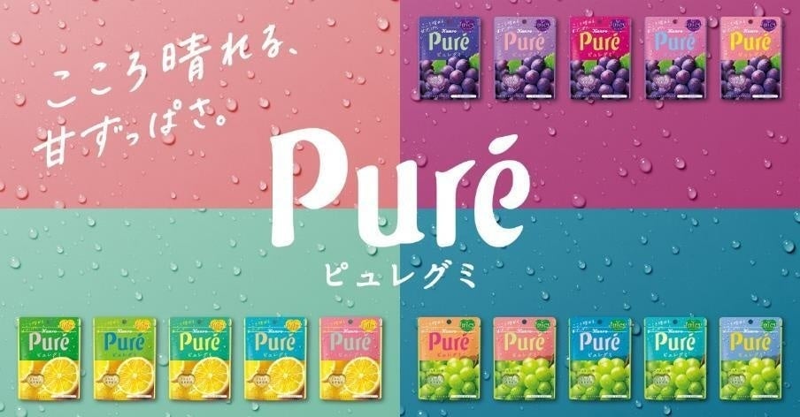 ♡ブービー♡プロフ必読  32個 キュレル Amazon.co.jp: カンロ ピュレグミグレープ 56g×6個 : 食品・飲料・お酒