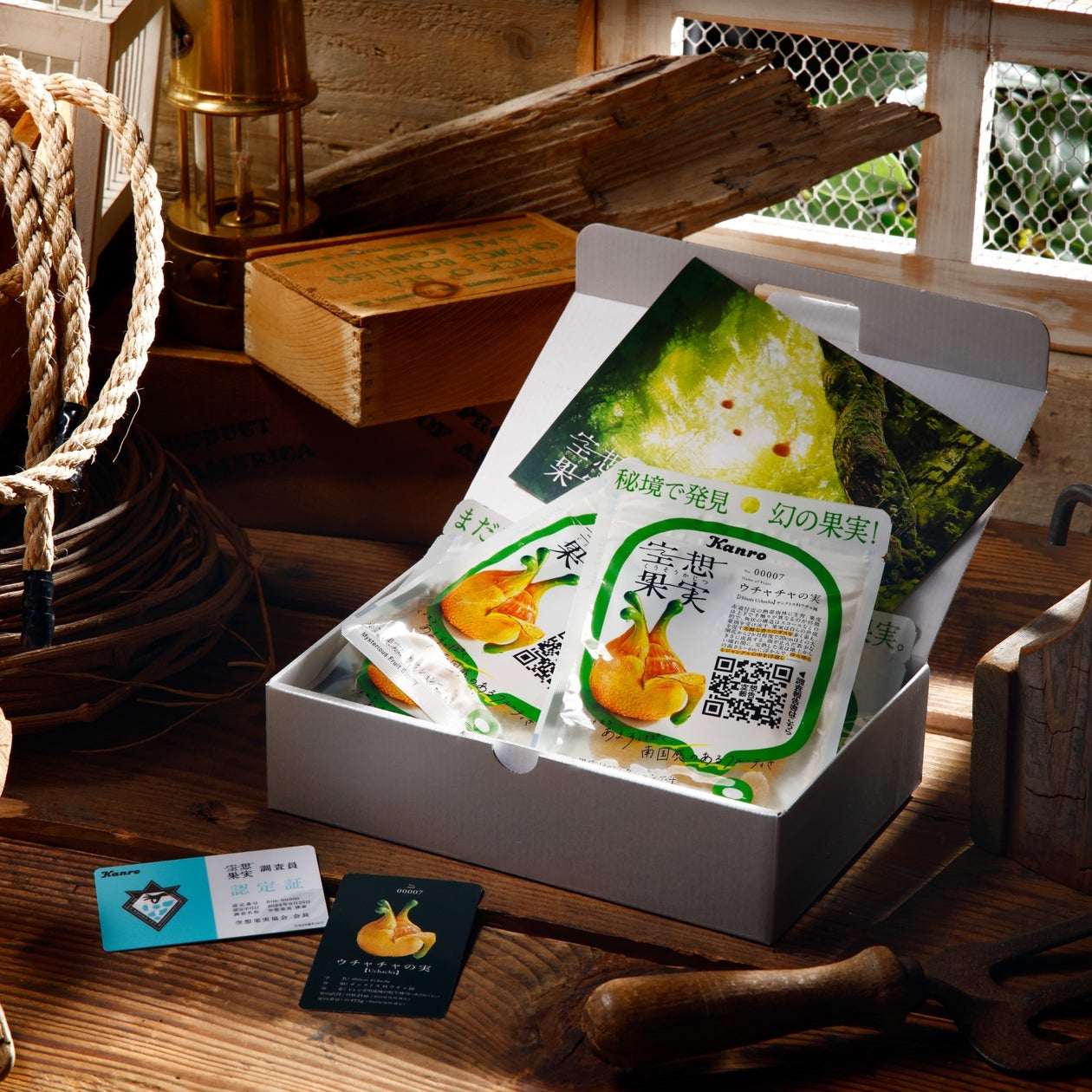 空想上の果実がグミに⁉誰も知らない果実を解明する調査員として空想果実の世界へ カンロ「空想果実ウチャチャの実 調査隊セット」オンライン限定発売