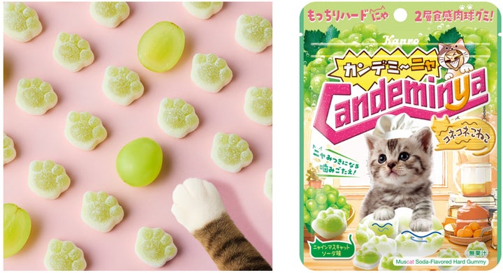 2月22日は「猫の日」! こねこが“ふみふみ”して作った⁉肉球型 2月22日は「猫の日」! こねこが“ふみふみ”して作った⁉肉球型