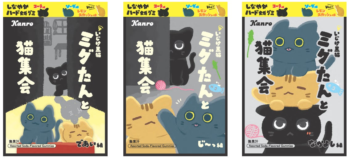 大好評“しなやかハード食感”の黒猫グミが3種アソートになって新登場 大好評“しなやかハード食感”の黒猫グミが3種アソートになって新登場