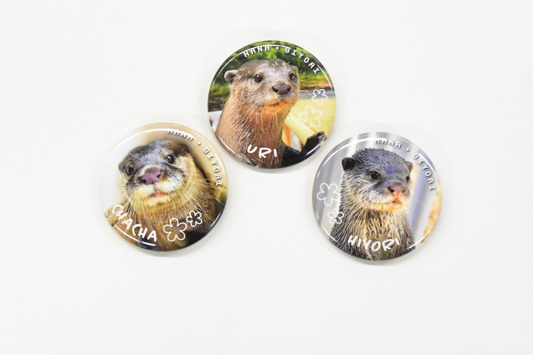 HANA・BIYORIカワウソカンバッジ