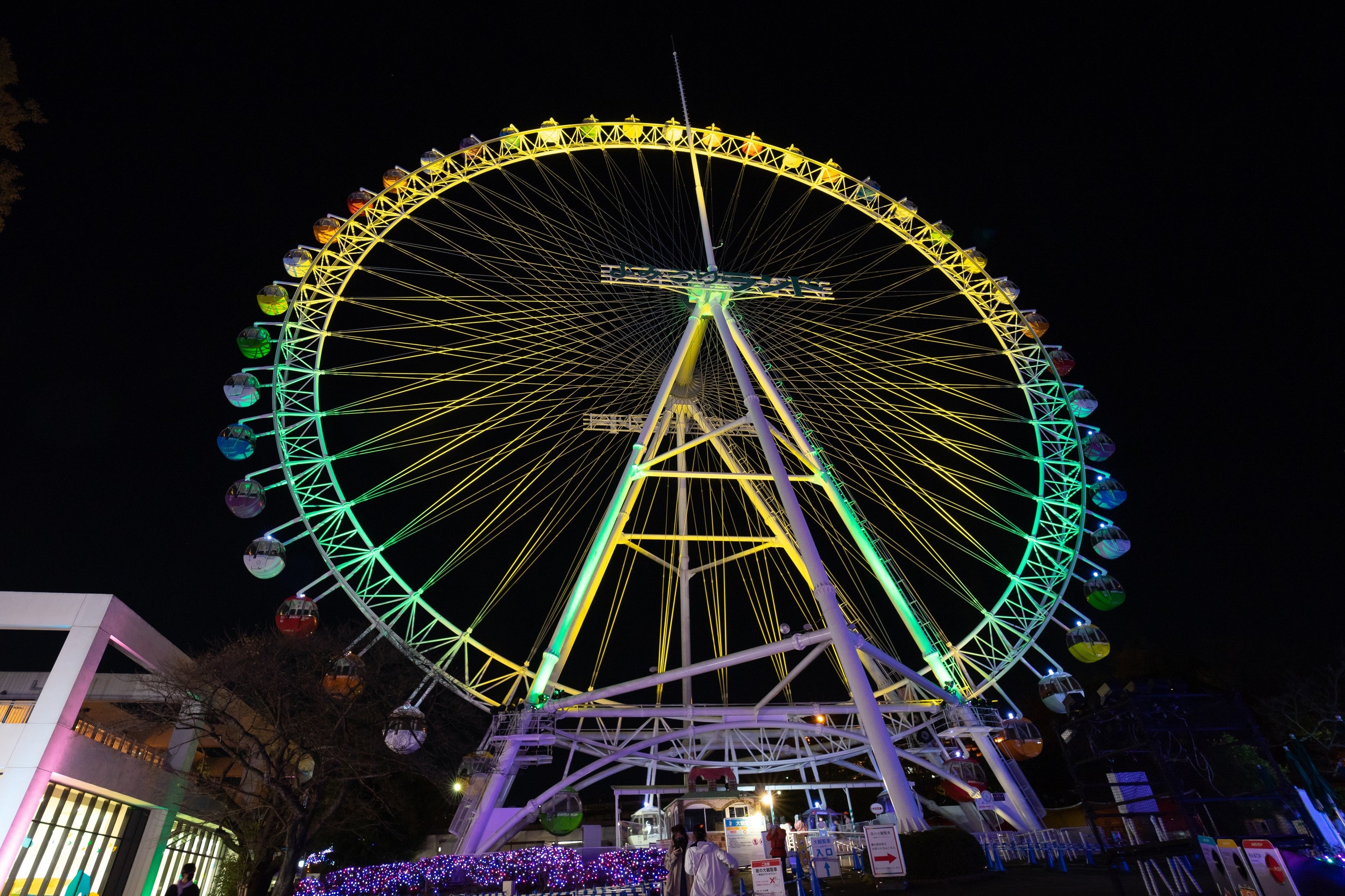 貸出画像「希望のグランオブジェ」