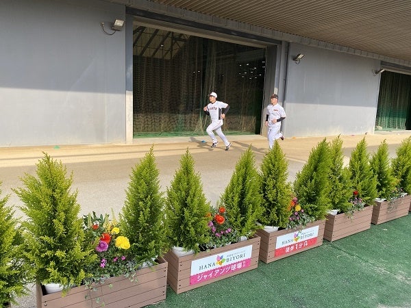 植栽越しに見える練習用走路の選手たちの様子