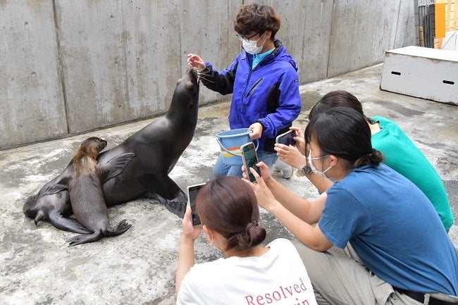 バックヤード体験特別ver.　撮影タイム
