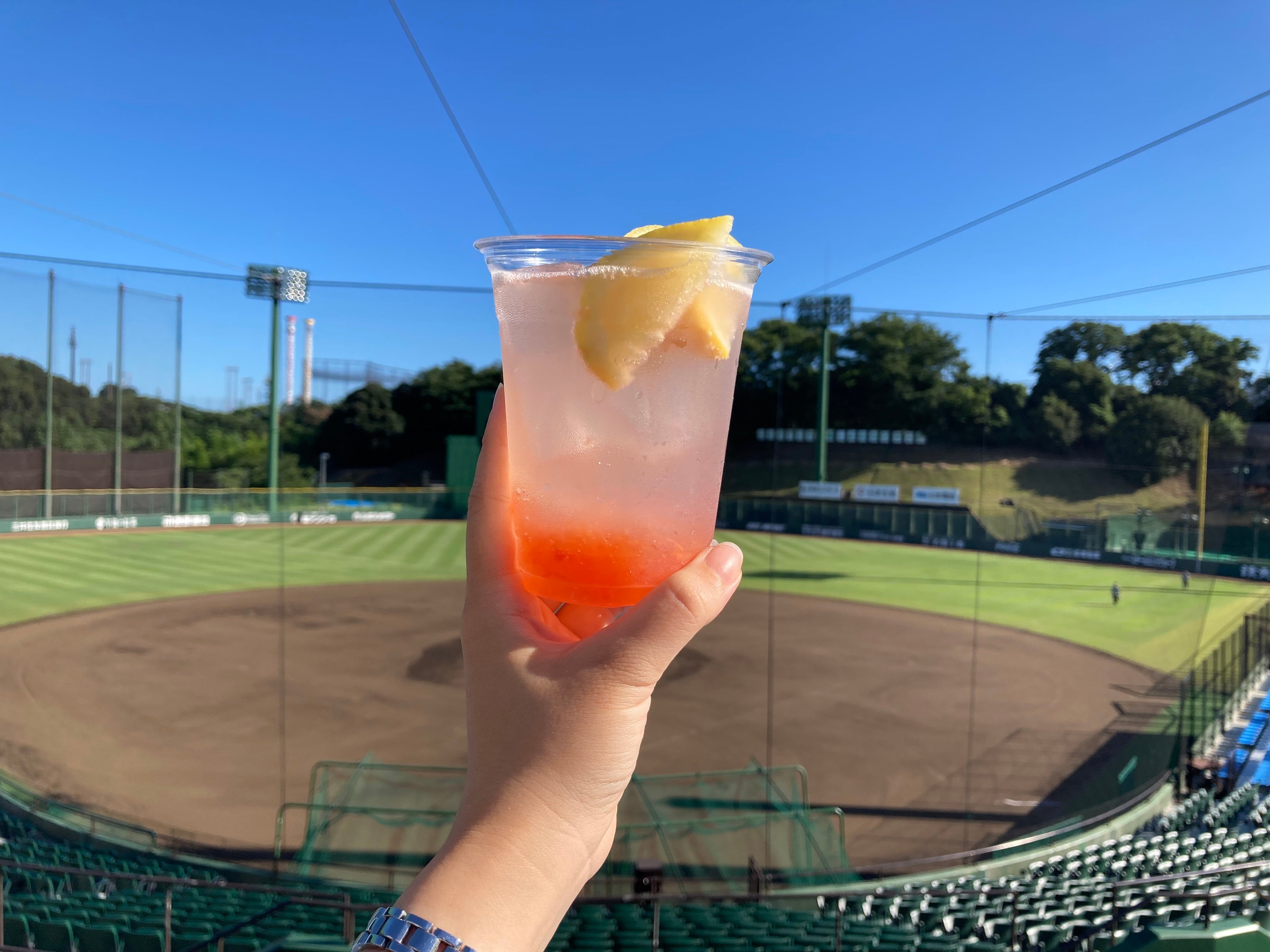 クエン酸たっぷりスカッシュ 税込500円