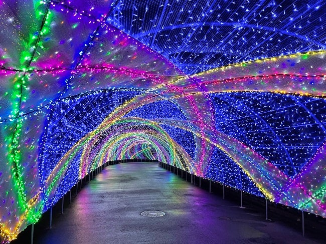 クロッシング・サファイヤ・パサージュ(イメージ)