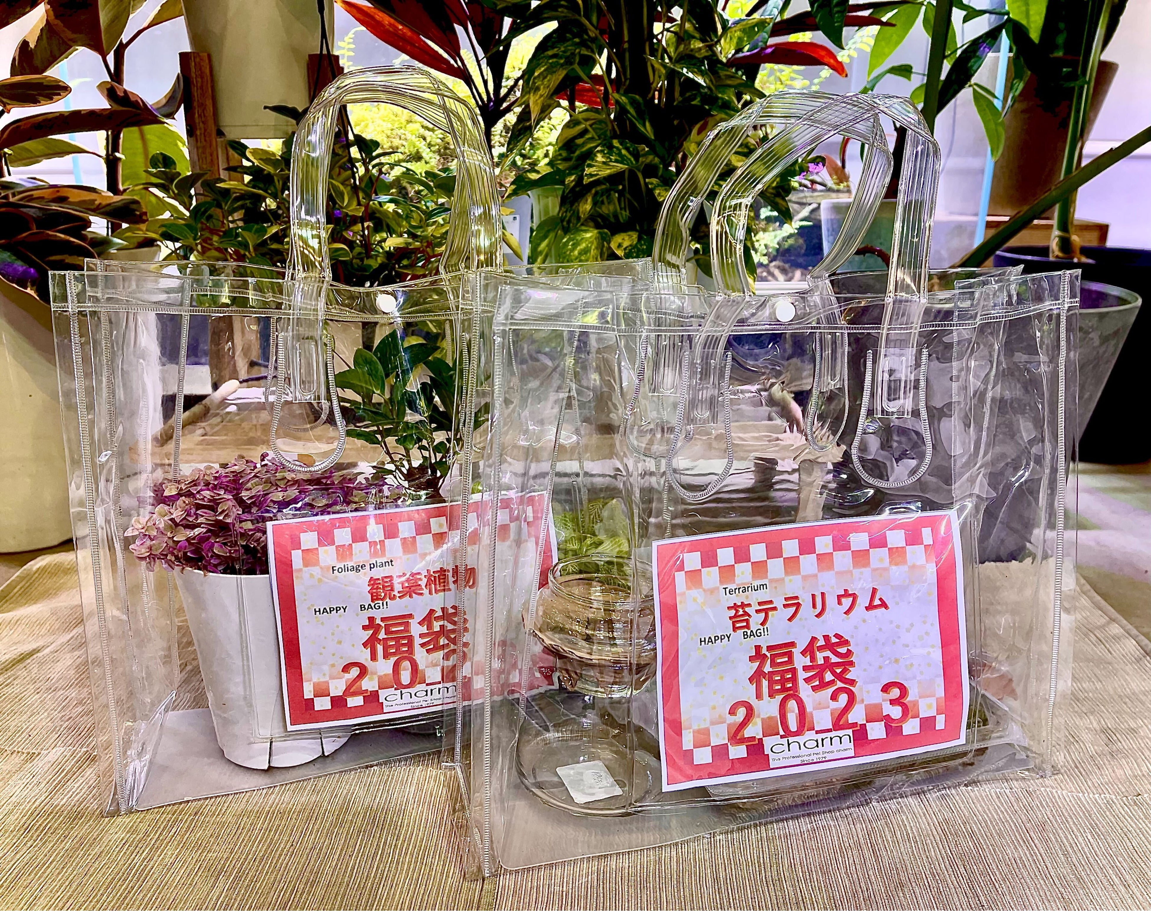 貸出画像「shop charmの福袋」