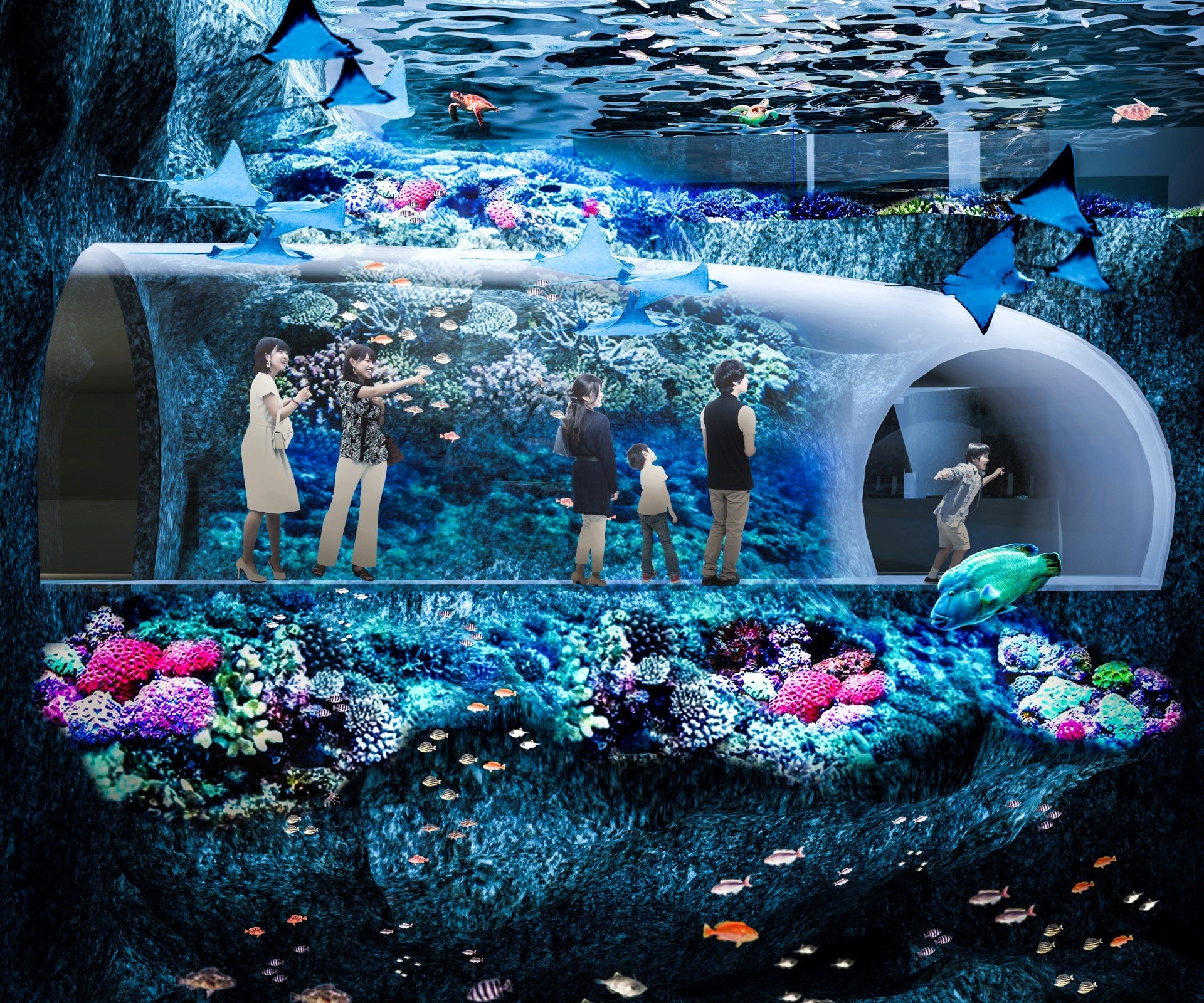 海の中を歩いているような体験ができる水中回廊（イメージ）