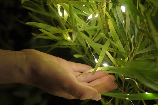 ボタニカルライト